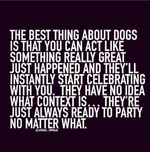 mis hum dogs party.JPG